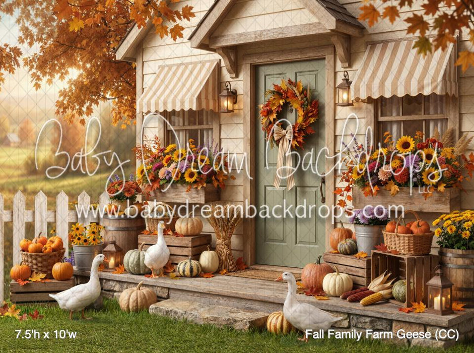 Fall Family Farm Geese (CC)