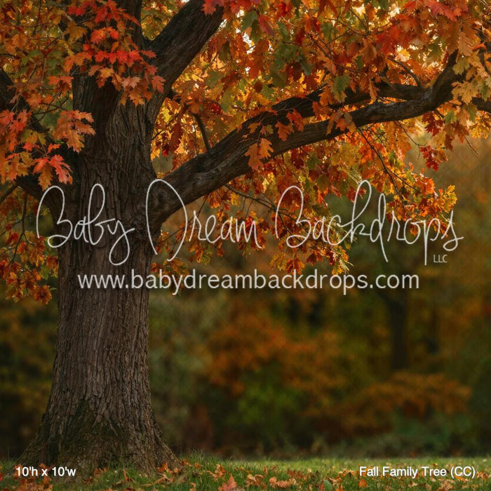 Fall Family Tree (CC)