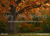 Fall Family Tree (CC)