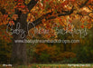 Fall Family Tree (CC)