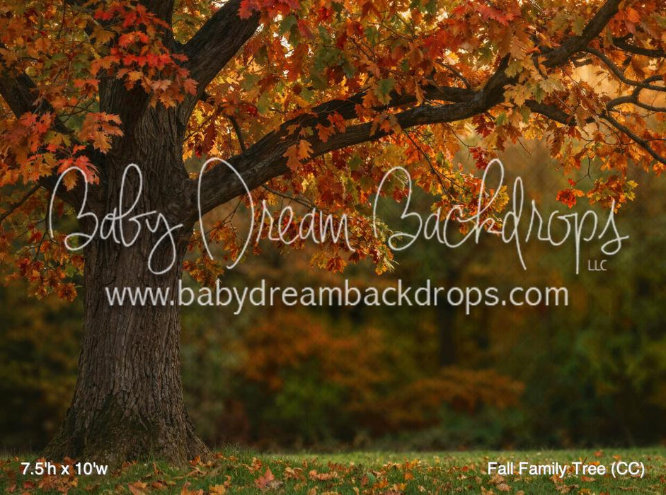 Fall Family Tree (CC)