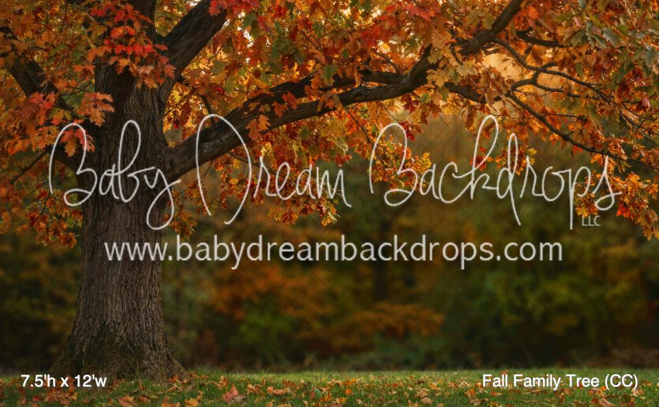 Fall Family Tree (CC)