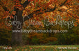 Fall Family Tree (CC)
