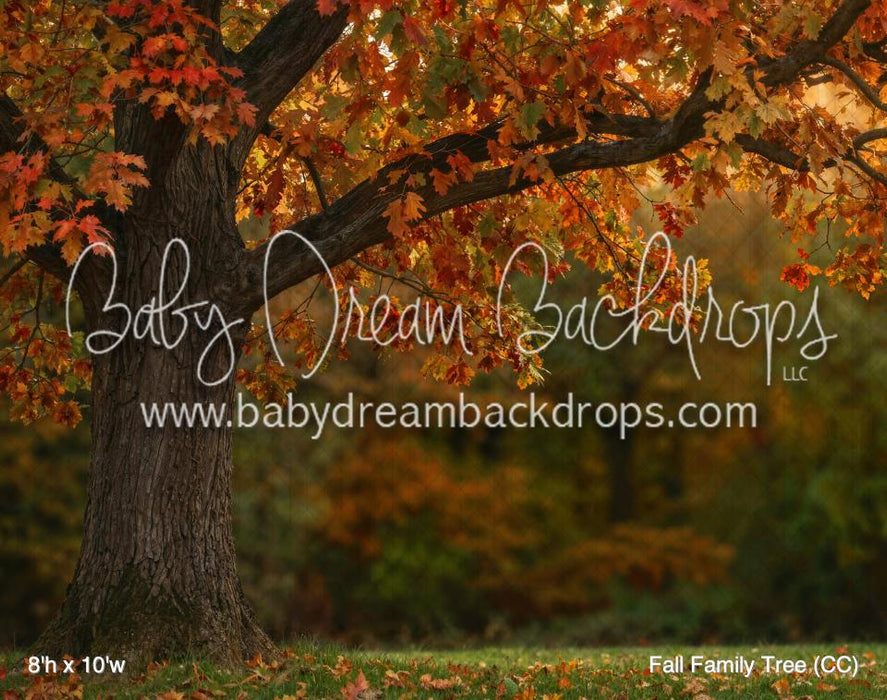 Fall Family Tree (CC)