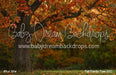 Fall Family Tree (CC)