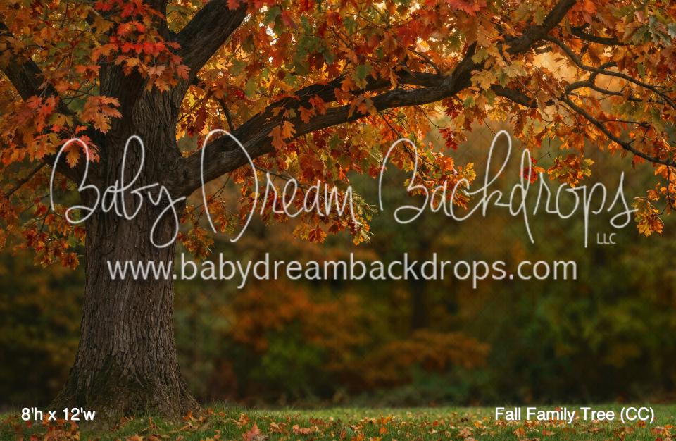 Fall Family Tree (CC)