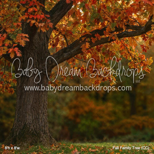 Fall Family Tree (CC)