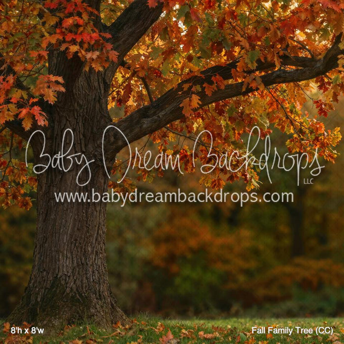 Fall Family Tree (CC)