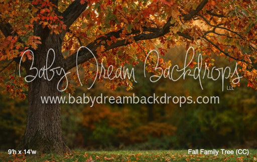 Fall Family Tree (CC)