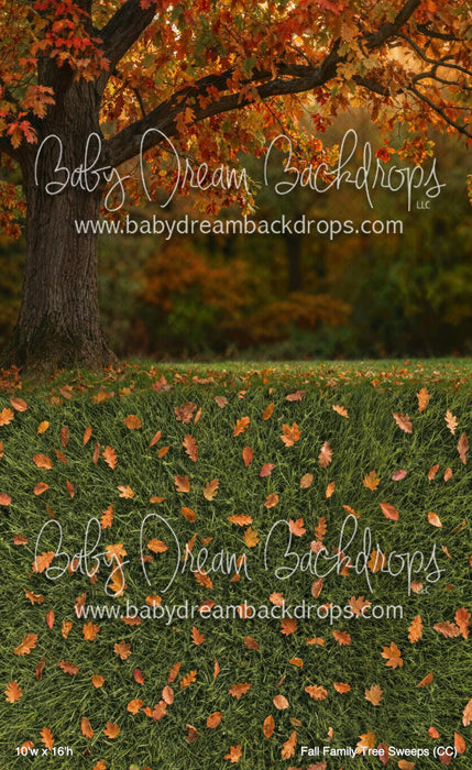 Fall Family Tree Sweeps (CC)