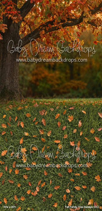 Fall Family Tree Sweeps (CC)