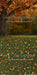 Fall Family Tree Sweeps (CC)