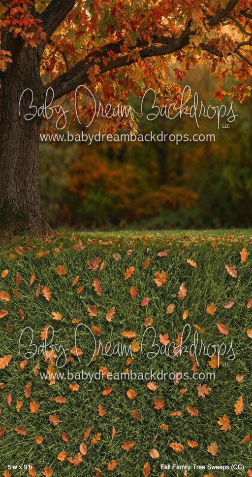 Fall Family Tree Sweeps (CC)