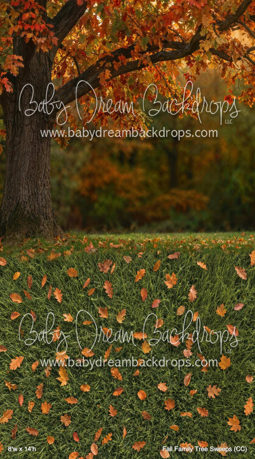 Fall Family Tree Sweeps (CC)