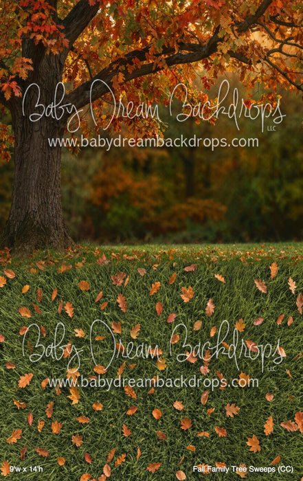 Fall Family Tree Sweeps (CC)