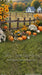 Fall Farm Fenceline Sweeps (CC)