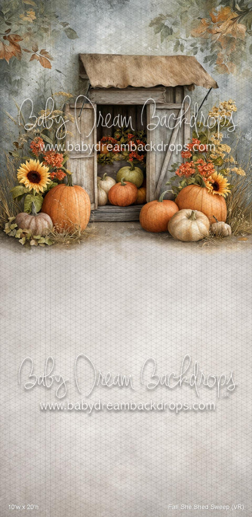 Fall She Shed Sweep (VR)