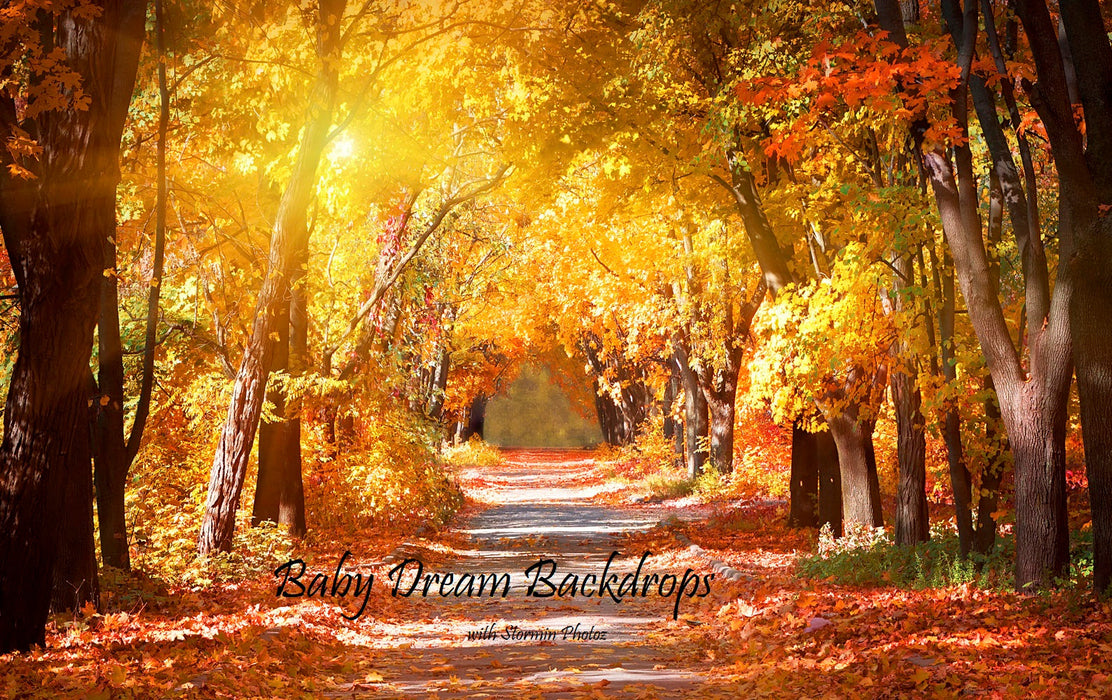 Fall Path (SP)