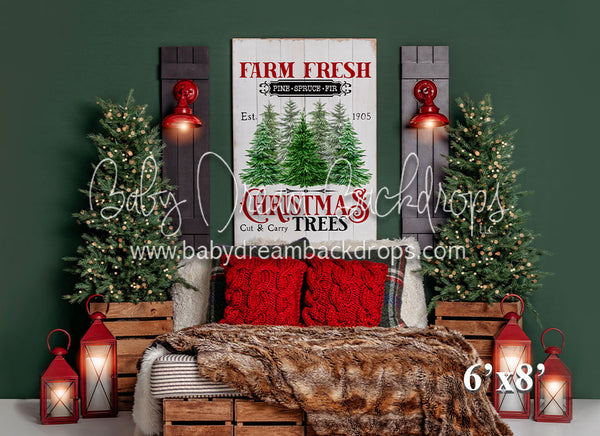 Farm Fresh Christmas Tree Bed (VR)