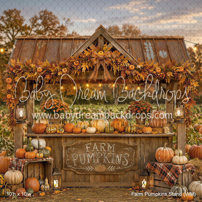 Farm Pumpkins Stand (WM)