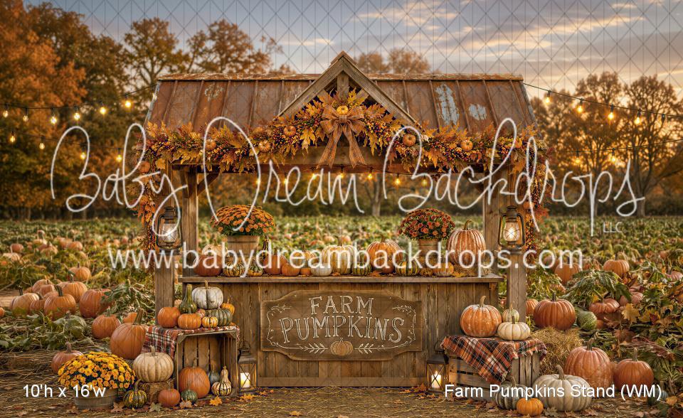 Farm Pumpkins Stand (WM)