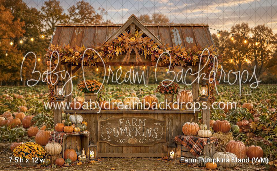 Farm Pumpkins Stand (WM)