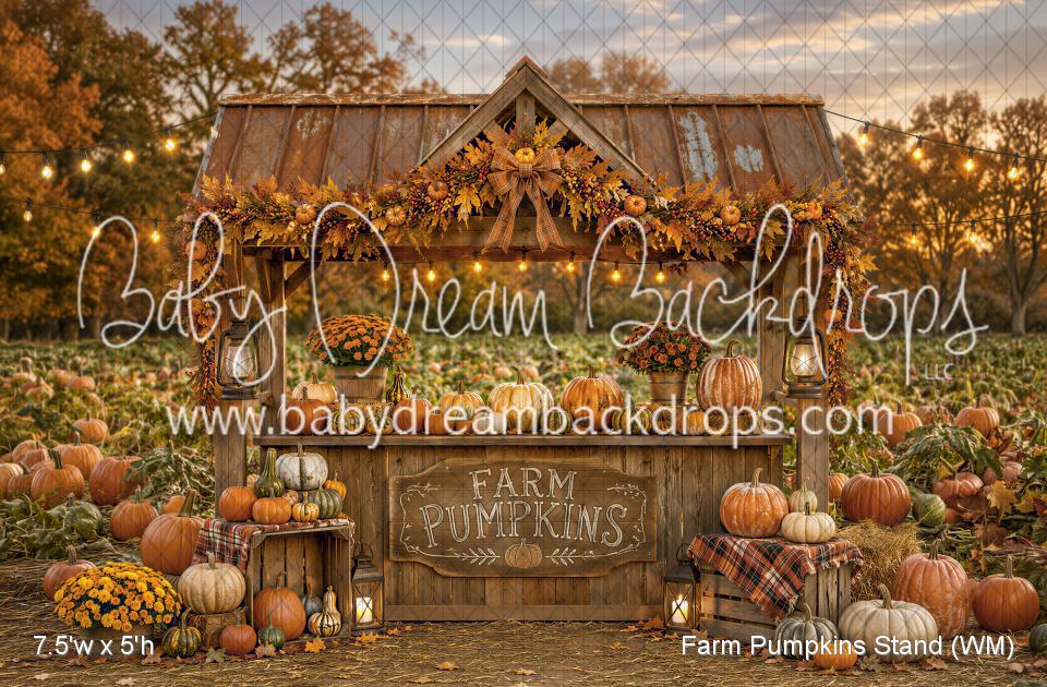 Farm Pumpkins Stand (WM)