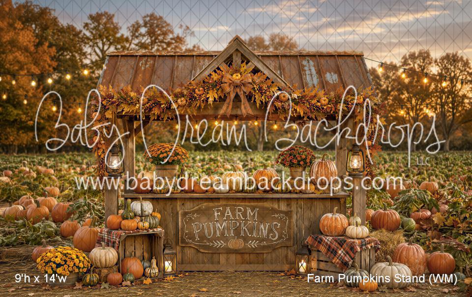 Farm Pumpkins Stand (WM)