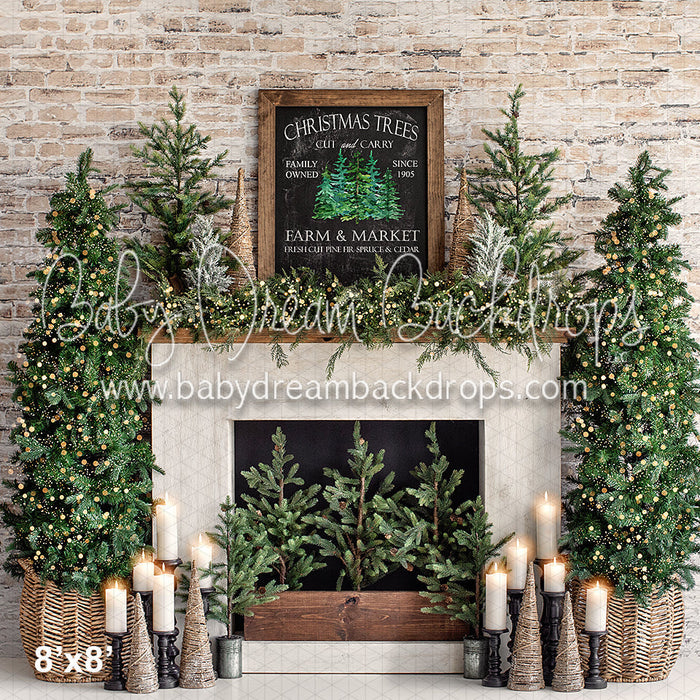 Farm and Market Cedar