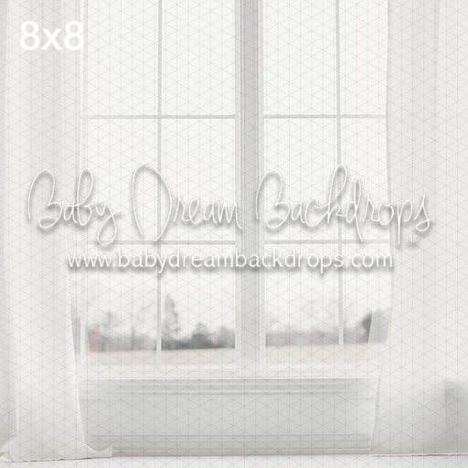 February 14 Window