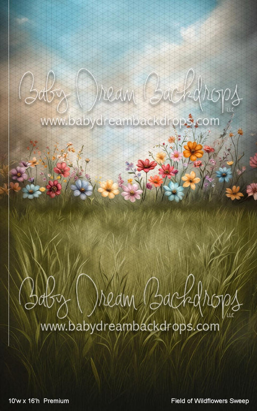 Field of Wildflowers Sweep (VR)