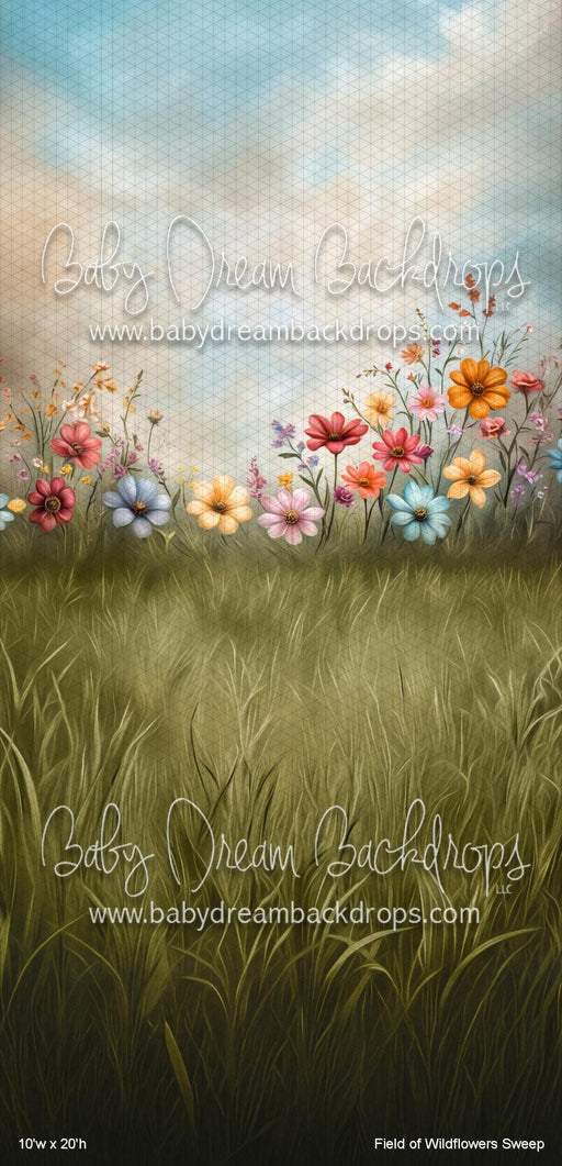 Field of Wildflowers Sweep (VR)