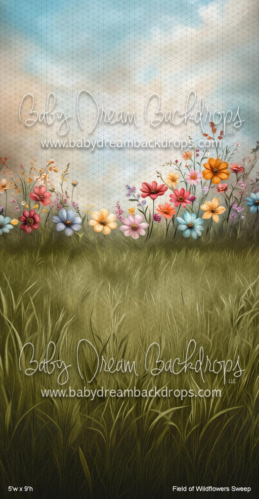 Field of Wildflowers Sweep (VR)