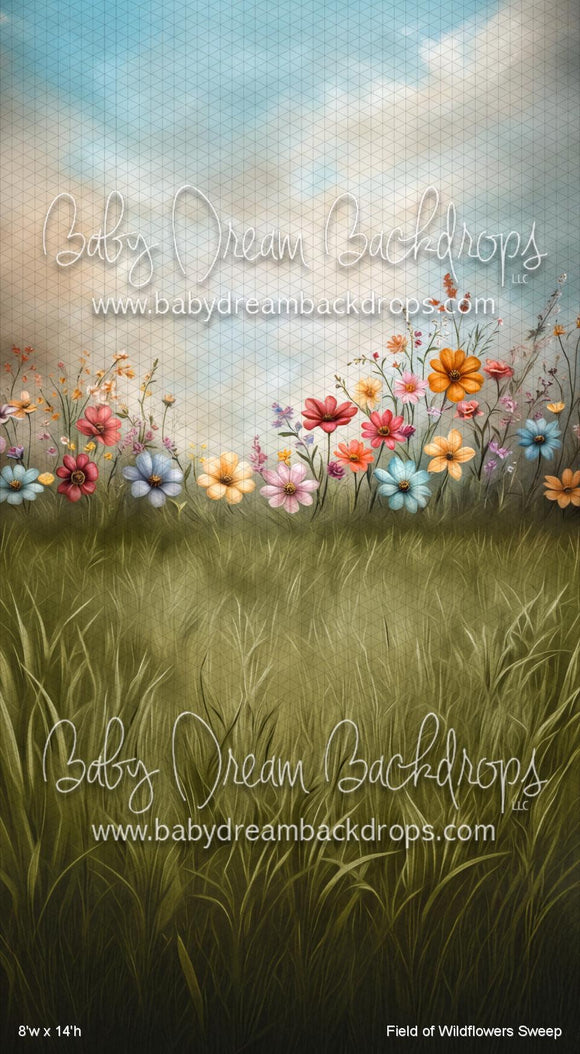 X Drop Field of Wildflowers Sweep (VR)