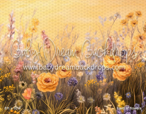 Field of flowers (VR)