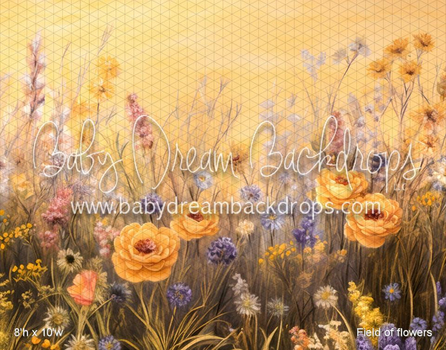 Field of flowers (VR)