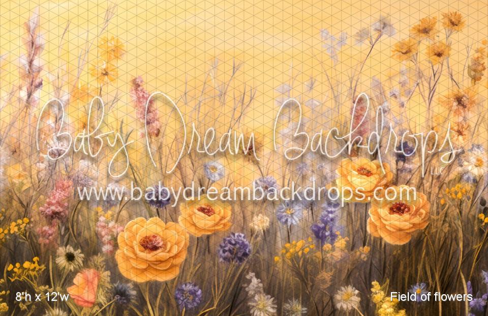 Field of flowers (VR)