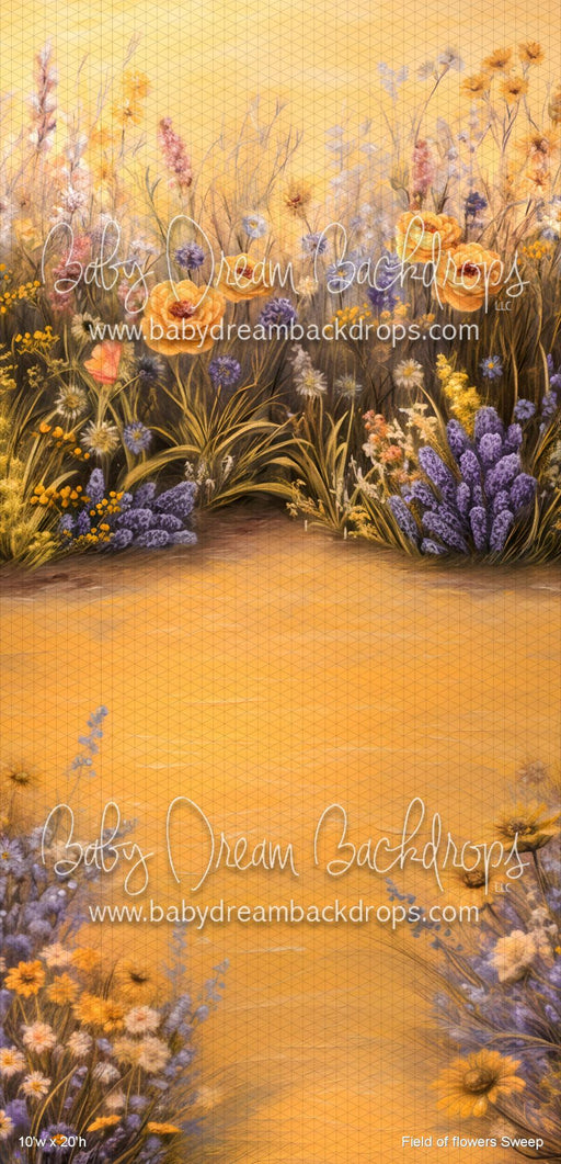 Field of flowers Sweep (VR)