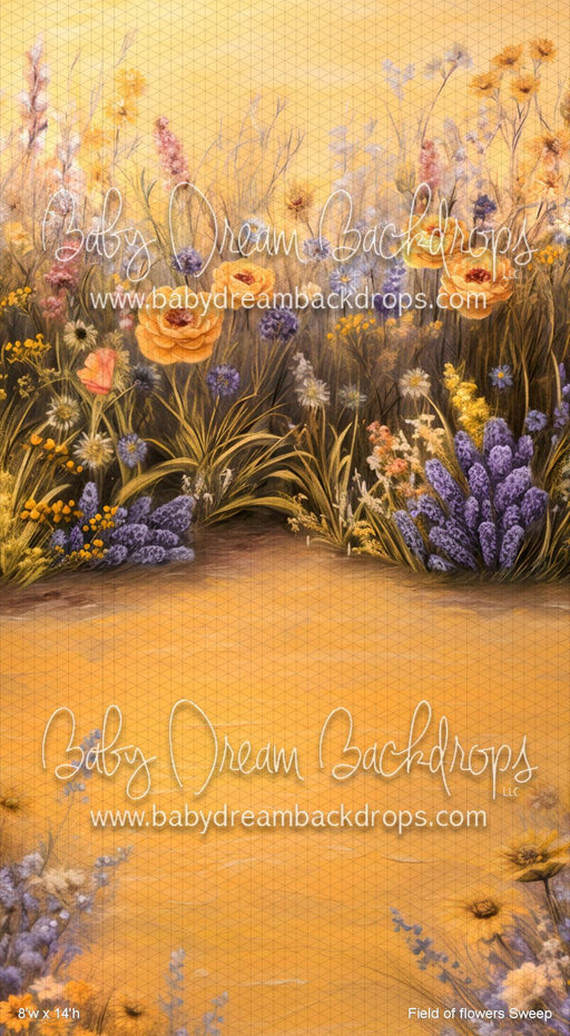 Field of flowers Sweep (VR)