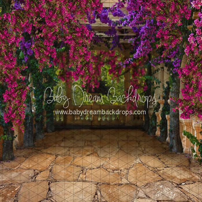 Fiesta Magic Path (CC)