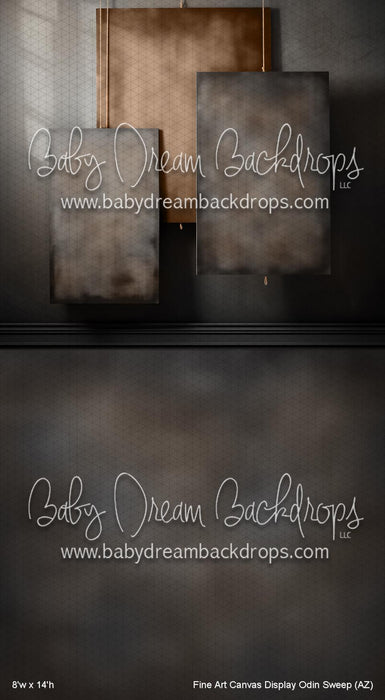 Fine Art Canvas Display Odin Sweep (AZ)