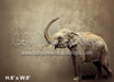 Fine Art Elephant (WM)