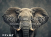 Fine Art Elephant II (WM)