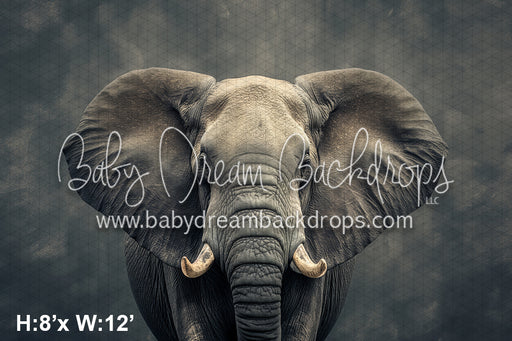 Fine Art Elephant II (WM)