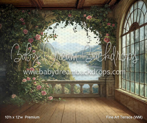 Fine Art Terrace (WM)