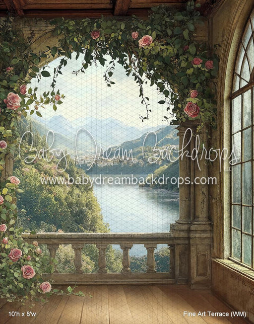 Fine Art Terrace (WM)