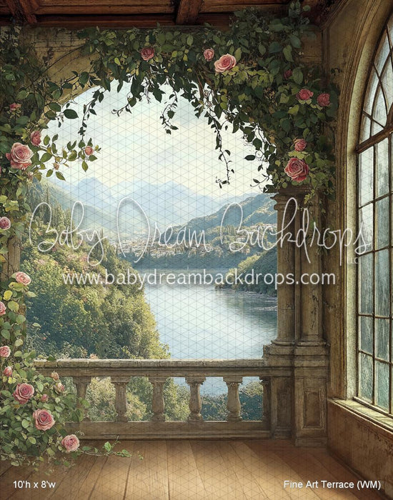 Fine Art Terrace (WM)