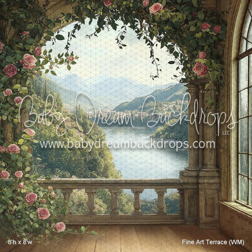 Fine Art Terrace (WM)