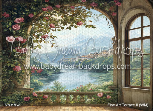 Fine Art Terrace II (WM)