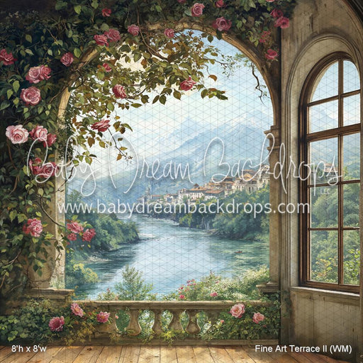 Fine Art Terrace II (WM)